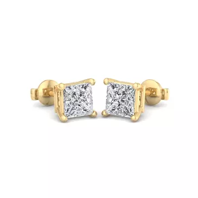 Fancy Shape Guardian Back Earrings