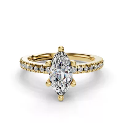 Setting Kennedy Pave