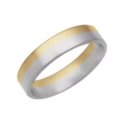 Two-Tone Inlay Fusion Band (5.5mm)