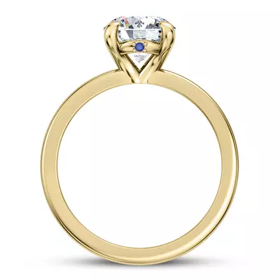 Solo Sapphire Accent Solitaire Engagement Ring