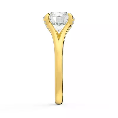 Senlis Split Shank Cathedral Engagement Ring