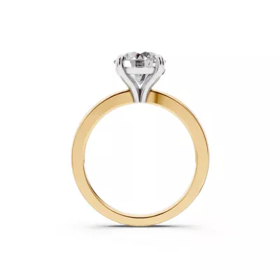 Alden Two-Tone Solitaire Engagement Ring (2mm)