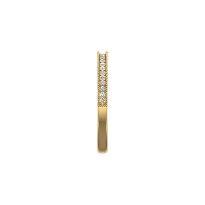 Ariyah Pave Band