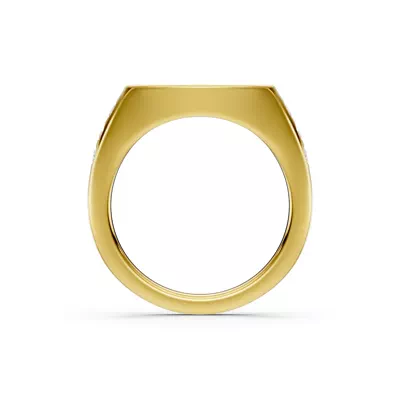 Initial Signet Lab Diamond Accent Ring - W