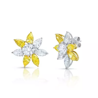 Sunburst Masterpiece Earrings (7.59 ct. tw.)