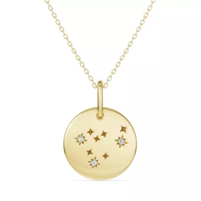 Capricorn Zodiac Constellation Medallion Necklace