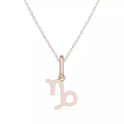 Capricorn Zodiac Glyph Necklace
