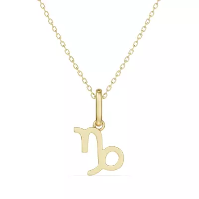 Capricorn Zodiac Glyph Necklace