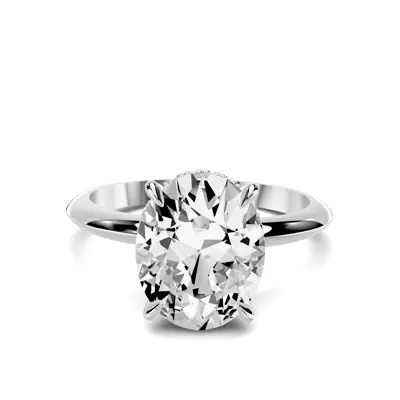 Serra Knife Edge Hidden Halo 2.50 ct. Oval Lab Engagement Ring (2mm)