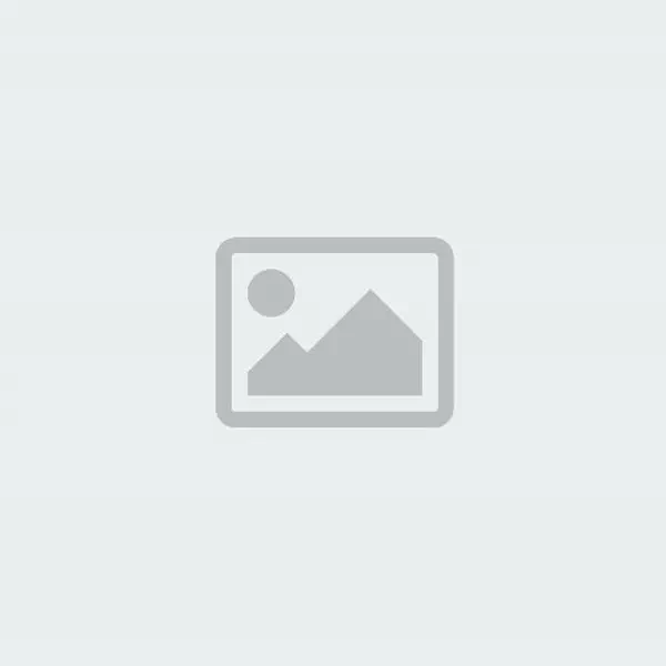 3.43 Carat · E · VS2 Rare Carat Ideal Cut