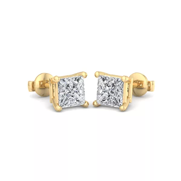 Fancy Shape Guardian Back Earrings