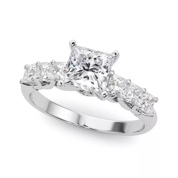 Evelynn Shared Prong Princess Cut Diamond Engagement Ring