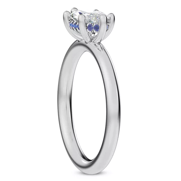 Setting Colore Sapphire Hidden Halo