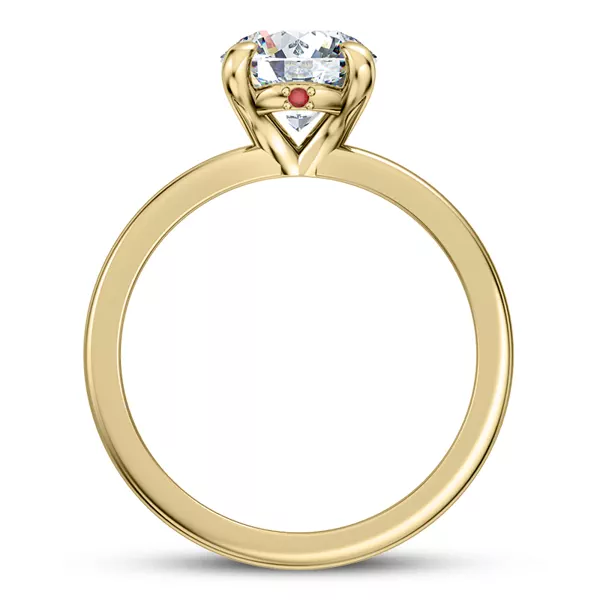 Solo Ruby Accent Solitaire Engagement Ring