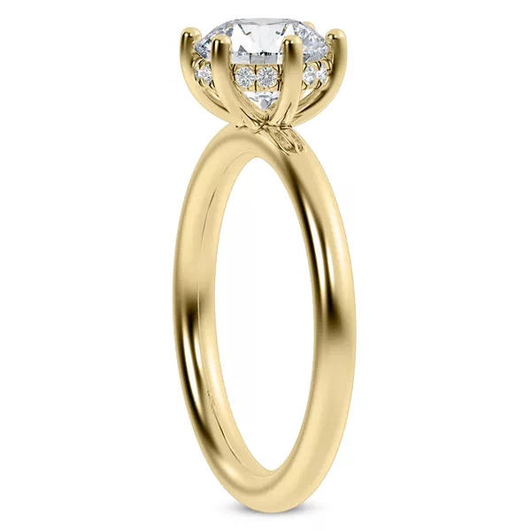 Colore Diamond Hidden Ring