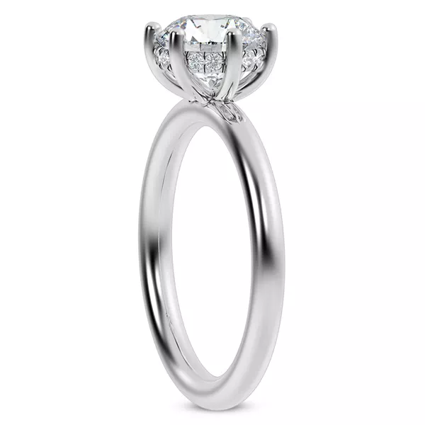 Colore Diamond Hidden Engagement Ring
