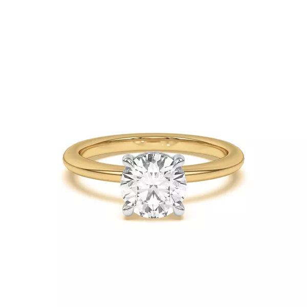 Joelle Hidden Halo Diamond Two-Tone Ring