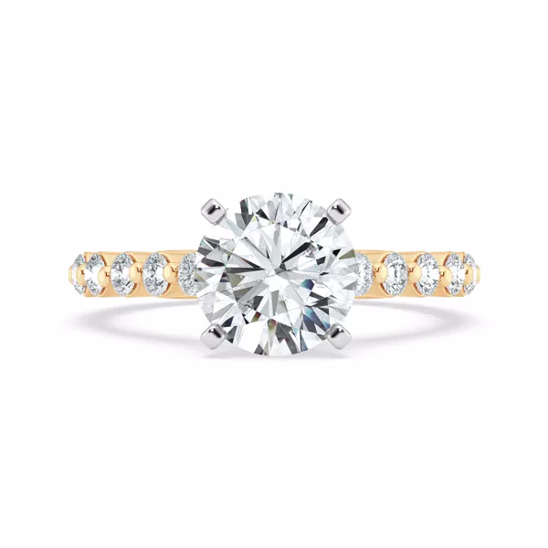 Tradition Shared Prong Pavé Lab Cathedral Engagement Ring (.70ct. tw.)