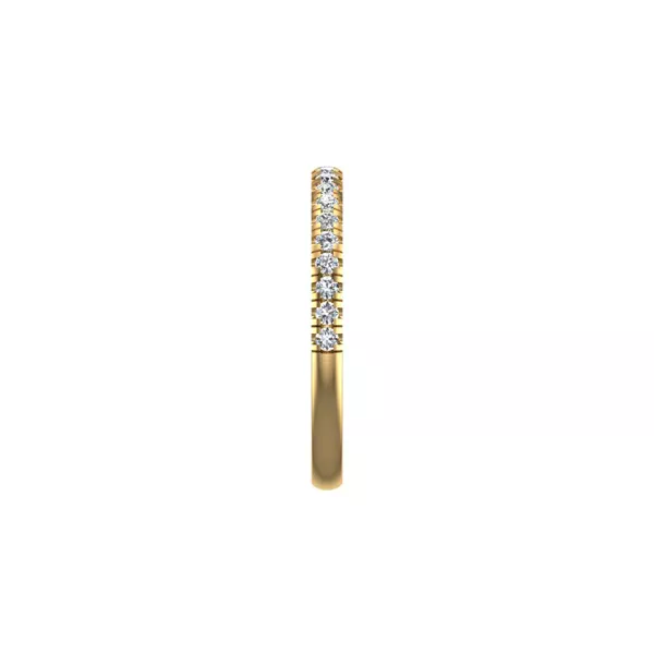 Delaney Pave Band