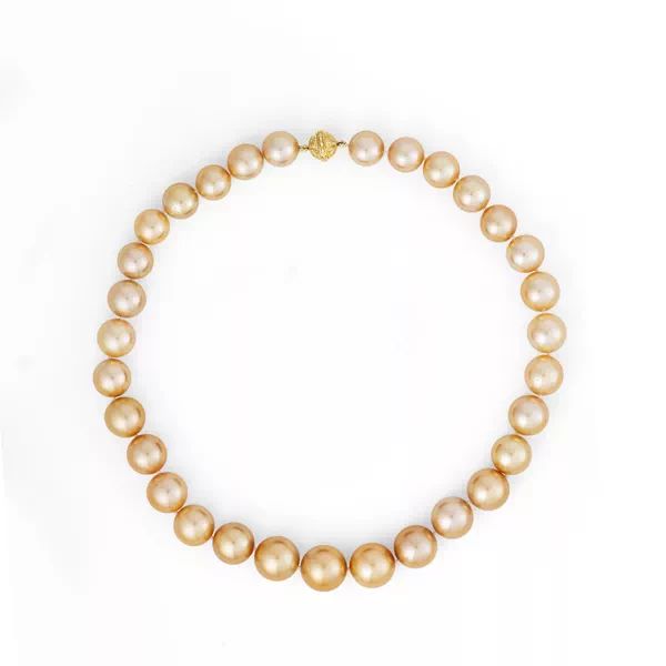 Golden South Sea Pearl Necklace (12–15.5mm)