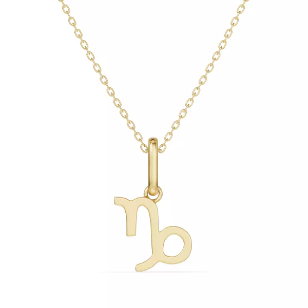 Capricorn Zodiac Glyph Necklace