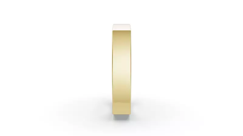 14K Yellow Gold Flat Euro Comfort Fit (4mm)