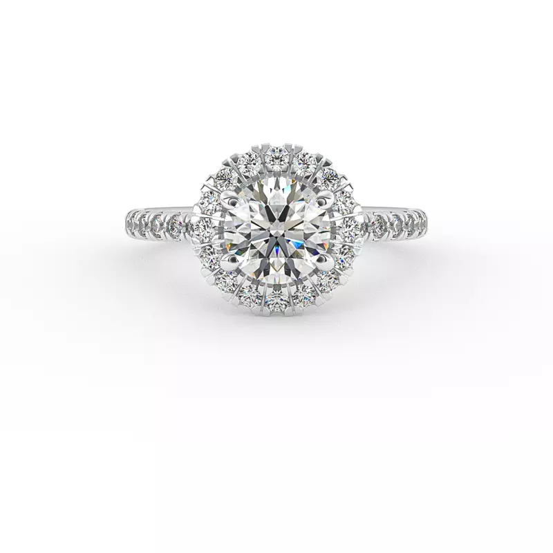 14K White Gold Chloe Single Row Halo With Pave Band