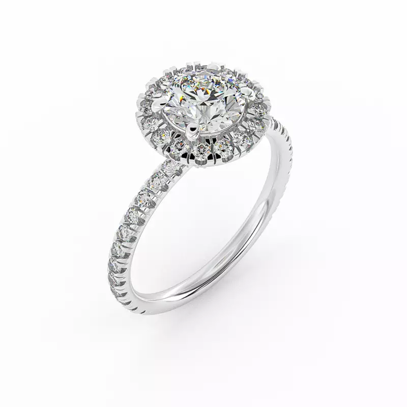 14K White Gold Chloe Single Row Halo With Pave Band