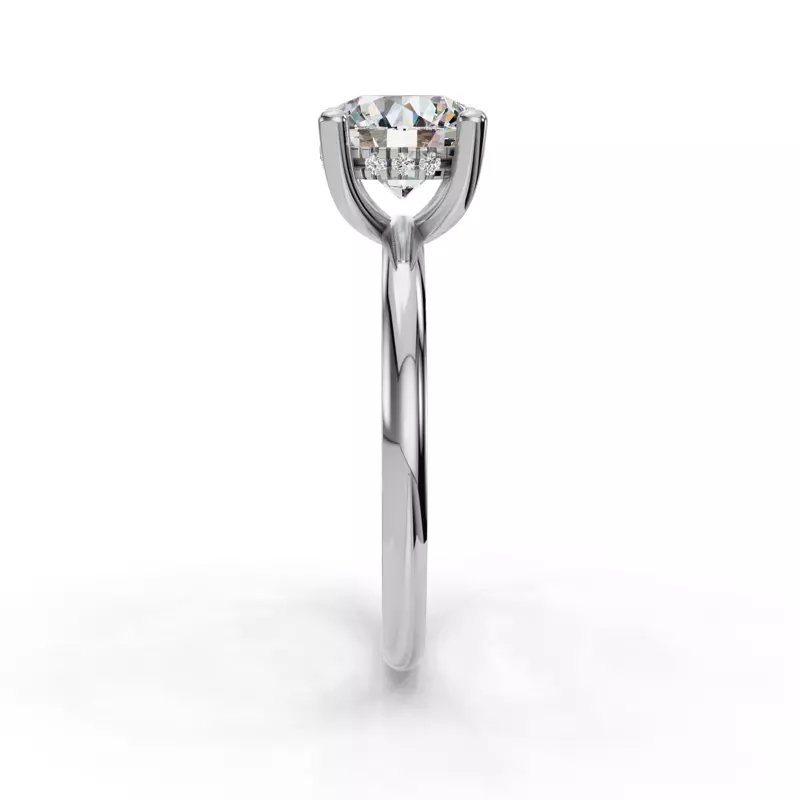 Platinum Savannah Hidden Halo Engagement Ring