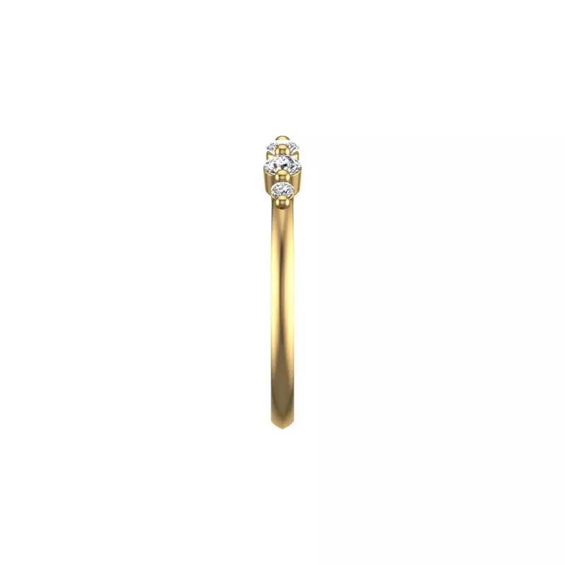 14K Yellow Gold Adelaid Pave Band