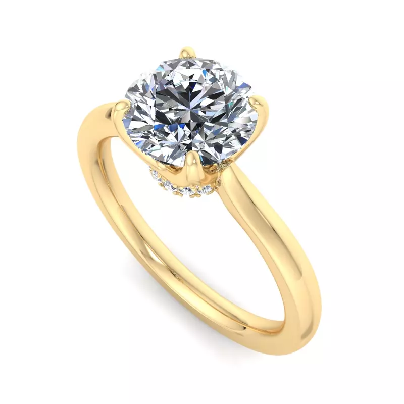 14K Yellow Gold Paris Solitaire Engagement Ring