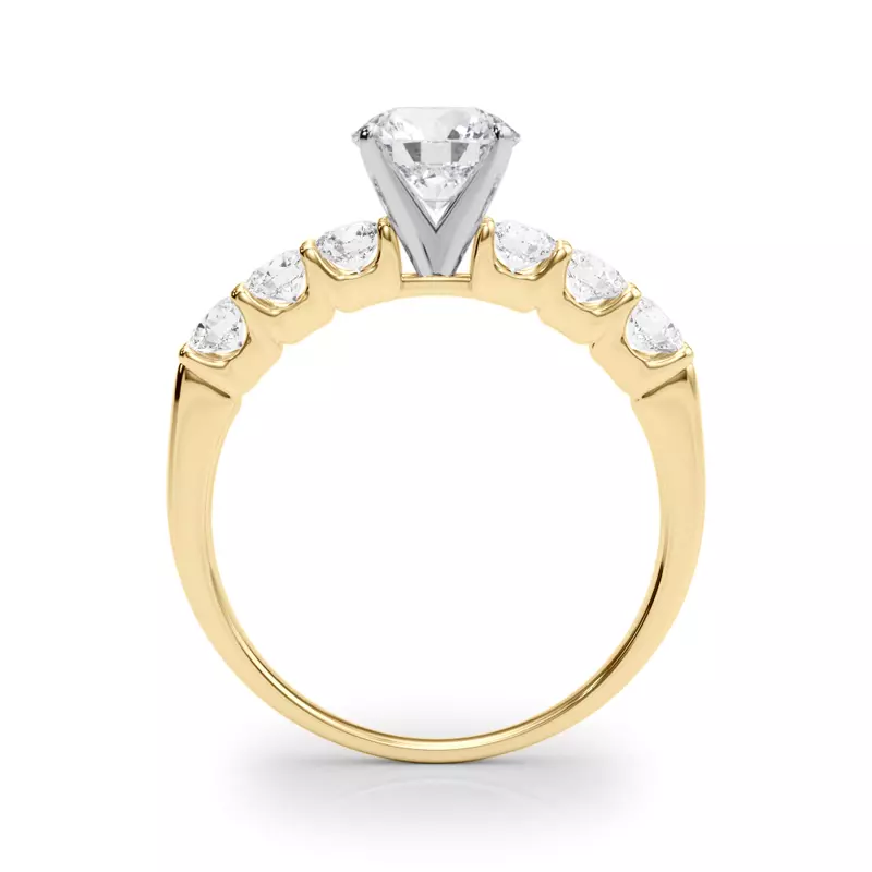 14K Yellow Gold Jax Shared Prong Engagement Ring