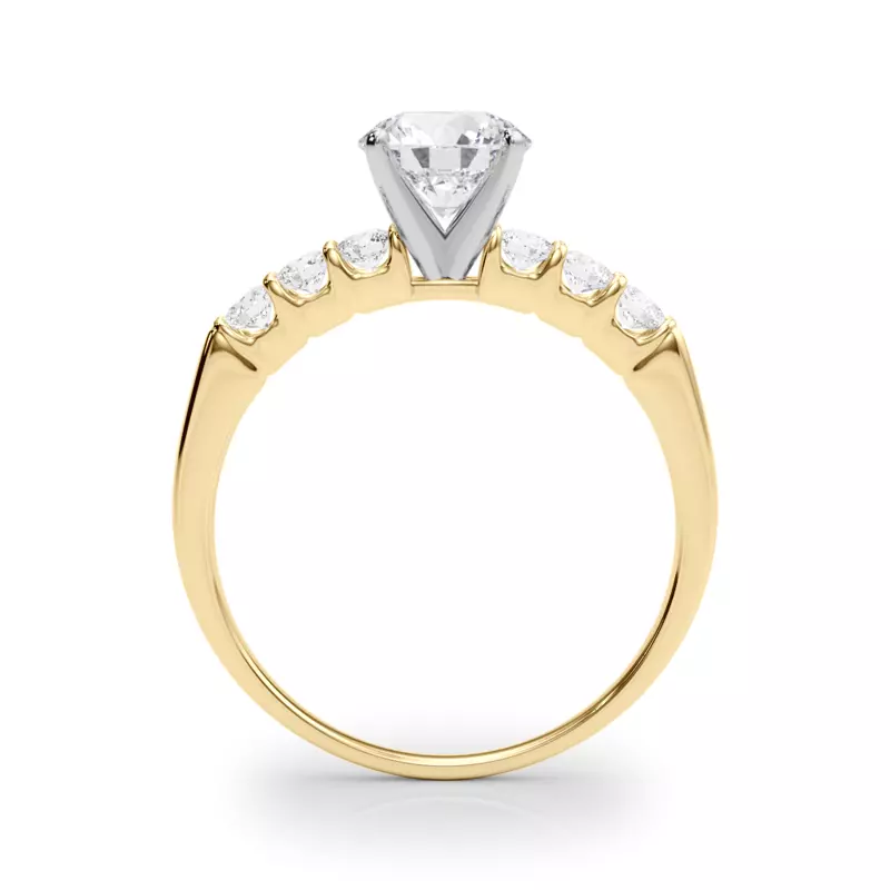 14K Yellow Gold Jada Shared Prong Engagement Ring