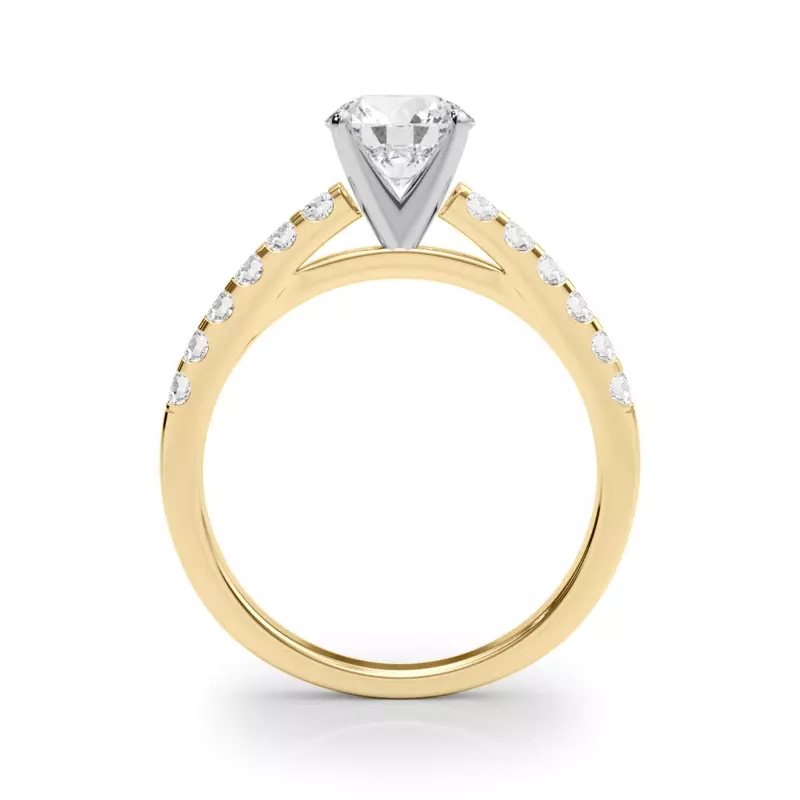 14K Yellow Gold Della Classic Diamond Cathedral Engagement Ring