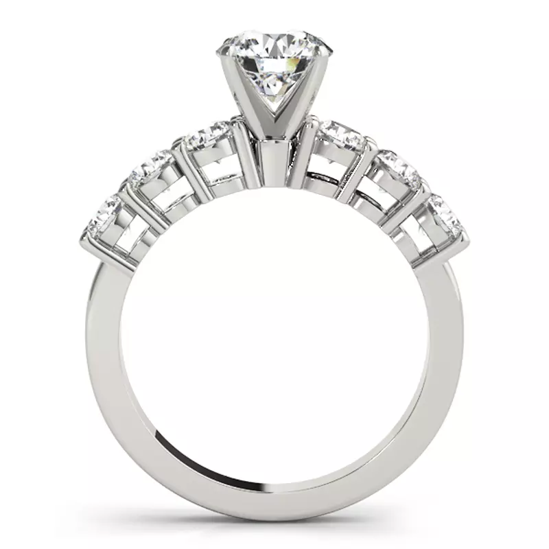 14K White Gold Alison Shared Prong Engagement Ring
