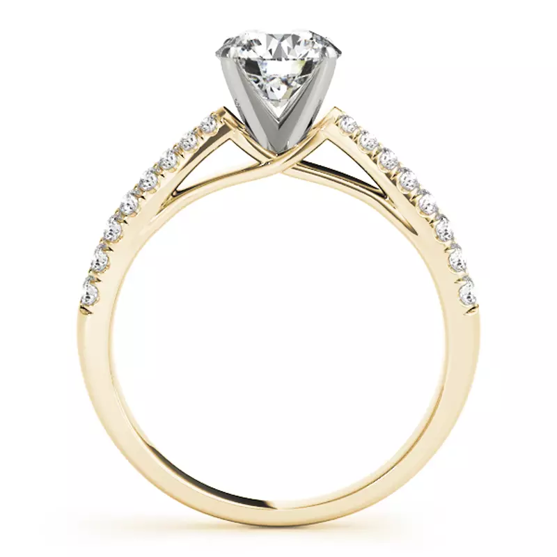 14K Yellow Gold Whitney 2 Row Pavé Diamond Engagement Ring