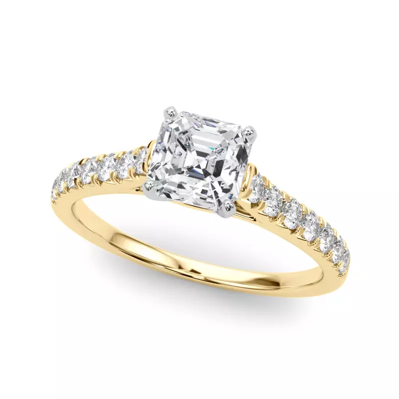 New Matching Band