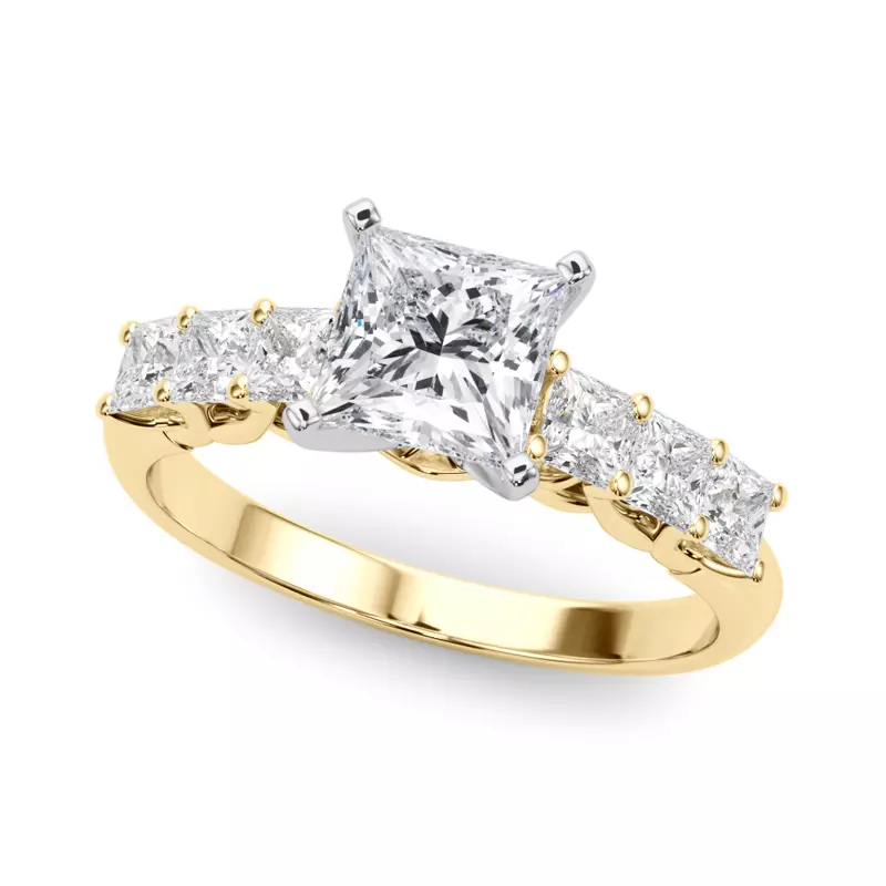 14K Yellow Gold Evelynn Shared Prong Princess Cut Diamond Engagement Ring