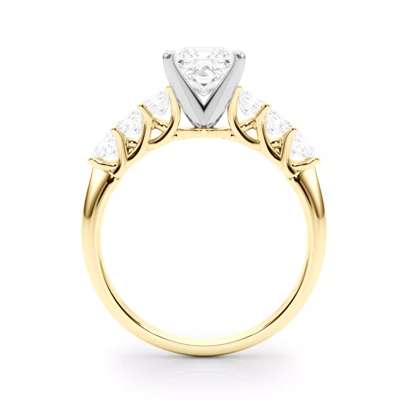 14K Yellow Gold Evelynn Shared Prong Princess Cut Diamond Engagement Ring