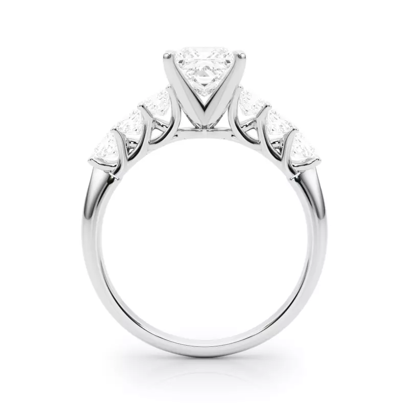 Platinum Evelynn Shared Prong Princess Cut Diamond Engagement Ring