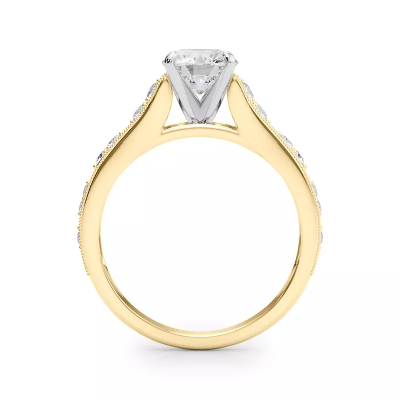 14K Yellow Gold Zera Cathedral Diamond Engagement Ring