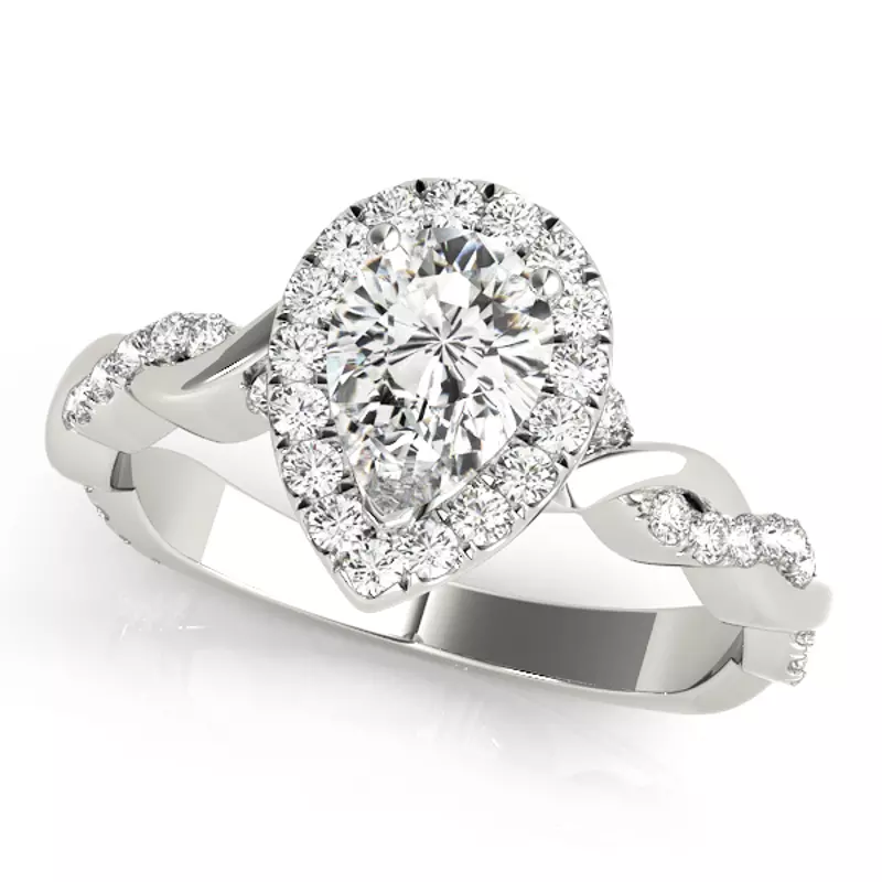 18K White Gold Paris Halo Engagement Ring