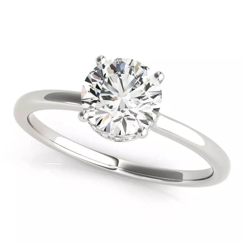 14K White Gold Amelia Hidden Halo Engagement Ring