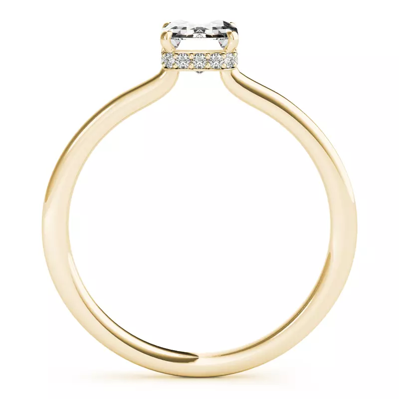 14K Yellow Gold Dionne Hidden Halo Engagement Ring