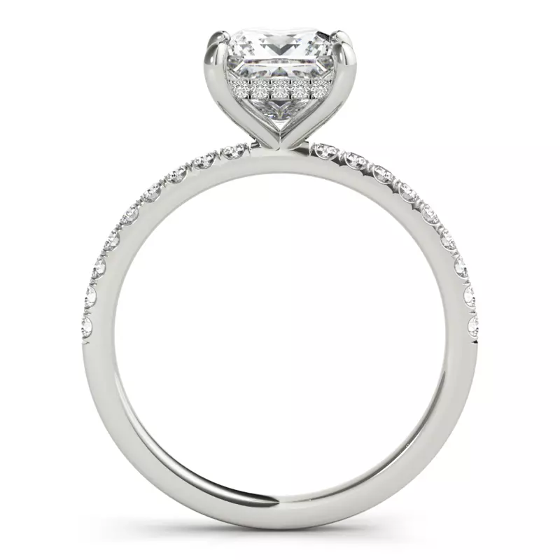 14K White Gold Arya Hidden Halo Engagement Ring