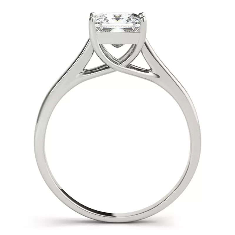 Platinum Regina Princess Cut Solitaire Engagement Ring