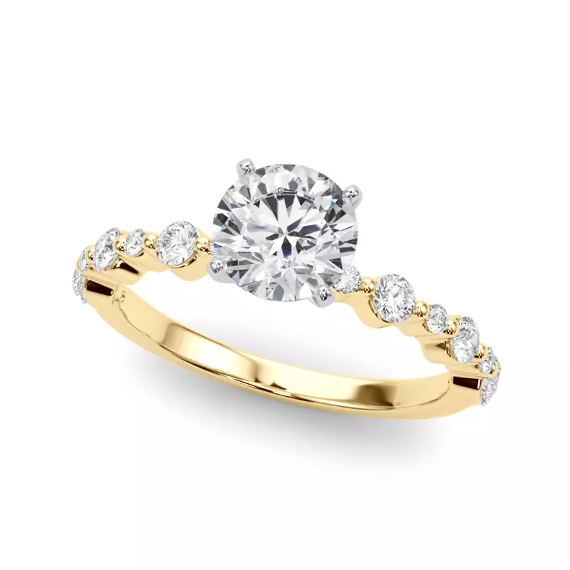 14K Yellow Gold Amberlin Shared Prong Diamond Engagement Ring