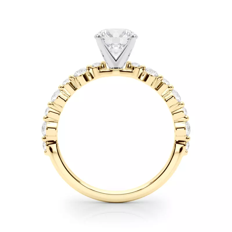 14K Yellow Gold Amberlin Shared Prong Diamond Engagement Ring