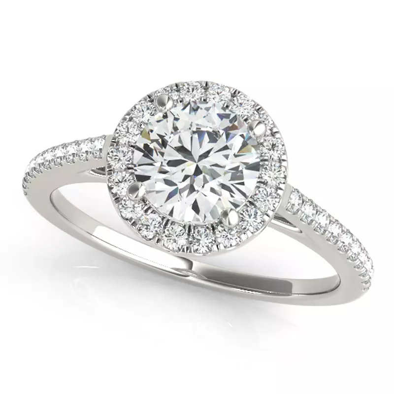 Platinum Avery Traditional Halo Engagement Ring