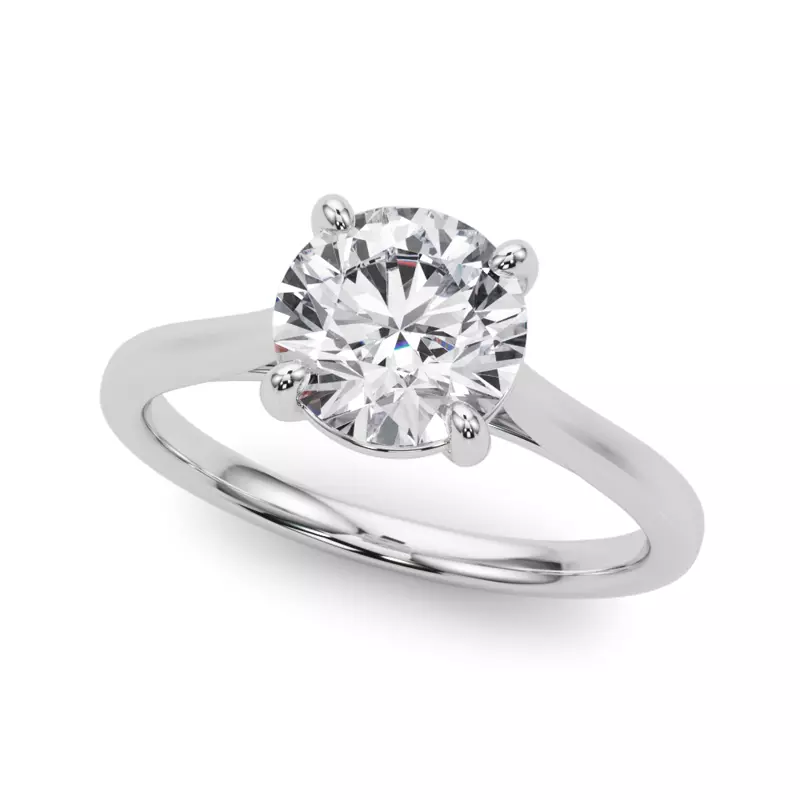 Platinum Noemie Cathedral Solitaire Engagement Ring